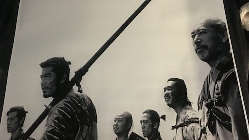 立体绿化墙安装费用明细揭秘：成本构成与优化策略