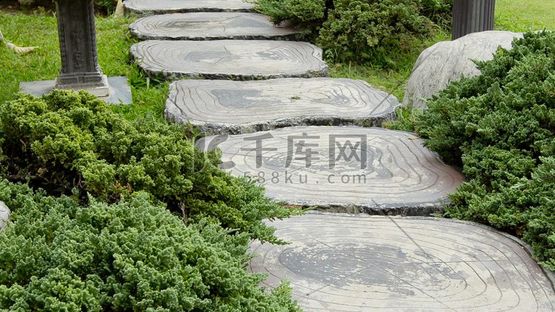 垂直绿化设计规范：构建绿色城市的秘密武器