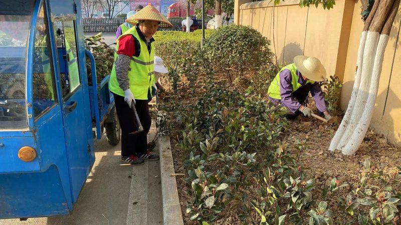 园林绿化施工资质排名：揭秘资质背后的价值**