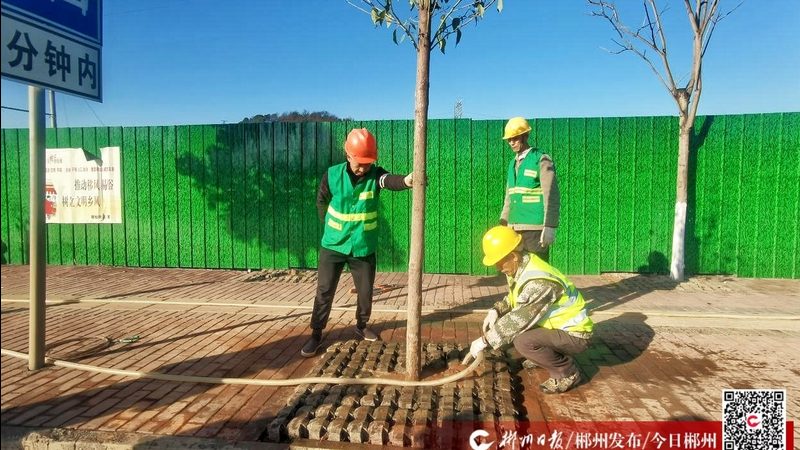 边坡绿化预算编制：从图纸到决算的五个关键节点