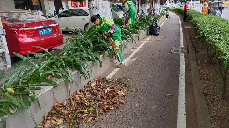 绿化养护招标中标价格：揭秘影响因素与决策要点