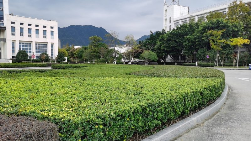 假山喷泉水泵防水等级：保障喷泉安全运行的关键**