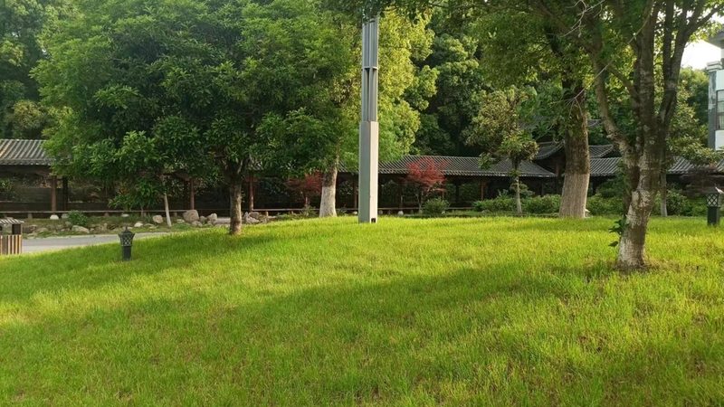 草坪沙土配比：如何确定含沙量的合适比例