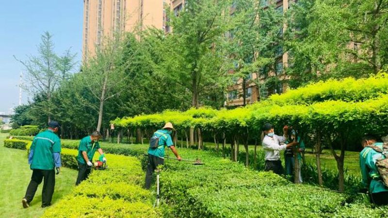 立体绿化别墅墙面案例解析：打造生态宜居的绿色空间**
